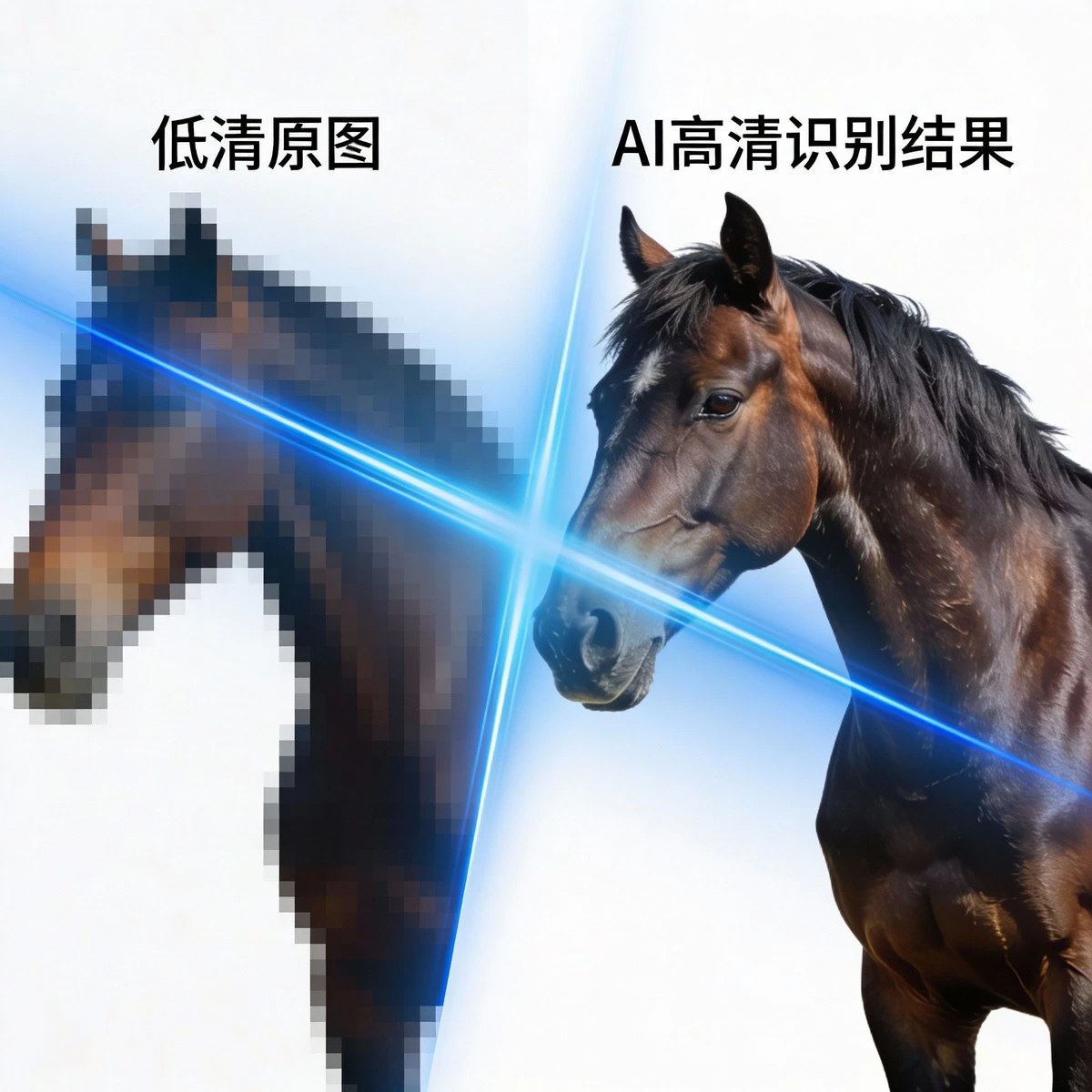 低质网络图片识别示例1