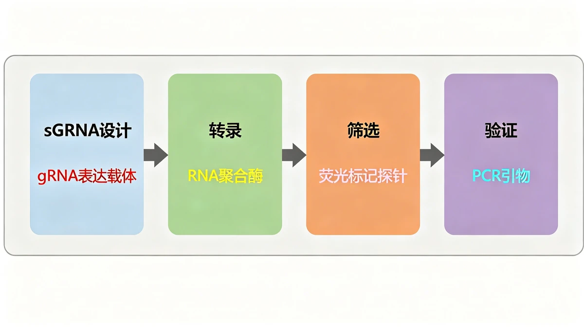 实验流程配色设计示例1